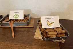 Interkulturelles Sommerfest 2025